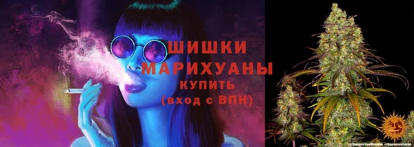 хмурый Мегион