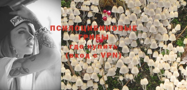 хмурый Мегион