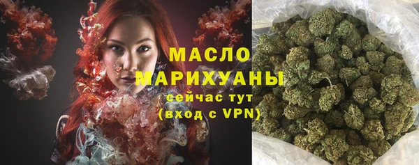 молекула духа Медногорск