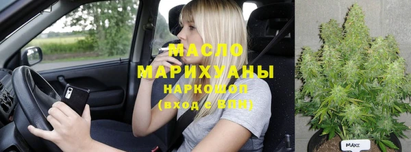 хмурый Мегион