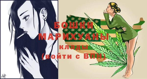 хмурый Мегион