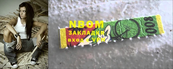 хмурый Мегион